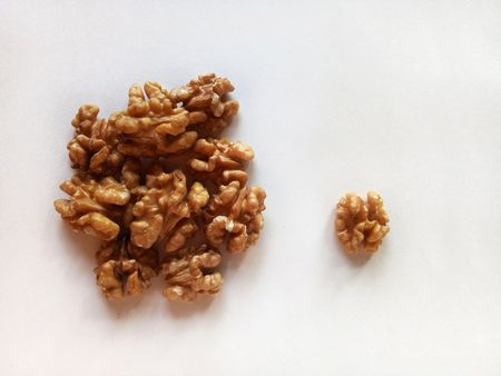 Walnut a Healthy and Nutritional Dry Fruitの写真素材