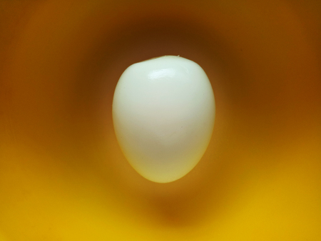 Boiled Egg for Breakfastの写真素材