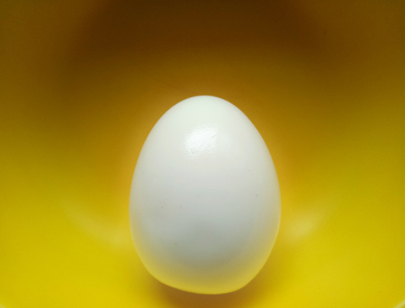 Boiled Egg for Breakfastの写真素材
