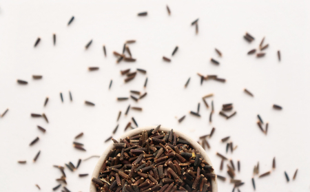Black Cumin Traditional Spiceの写真素材
