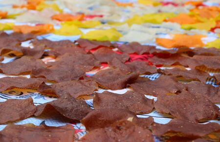 Papadum an Indian Snack Food Itemの写真素材