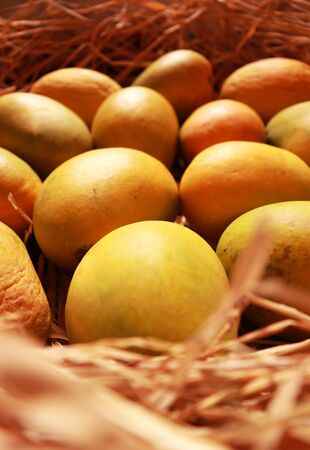 Mangoes Delicious Organic Healthy Fruitの写真素材