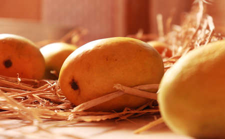 Mangoes Delicious Organic Healthy Fruit