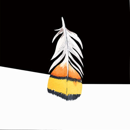 Colored bird feather on a black background close-up. Vector graphics. Material for printing on paper or fabric.のイラスト素材