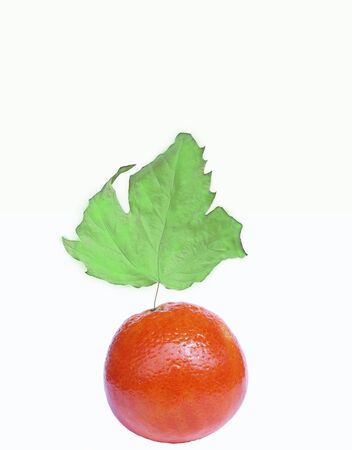 transgenes. genetic modification.conceptual imageの写真素材