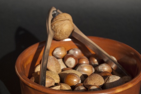 dried fruit. Walnuts, almonds and hazelnuts