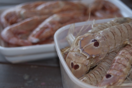 crustacea. crayfishes and mantis shrimps, typical course of the mediterranean dietの写真素材