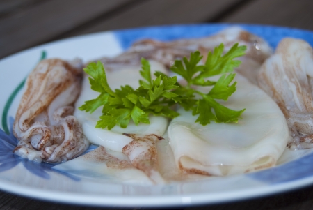 fresh fish: raw squid 