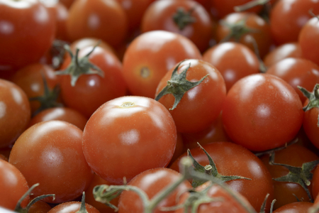 typical variety of Sicilian tomatoes: pachino tomatoesの写真素材
