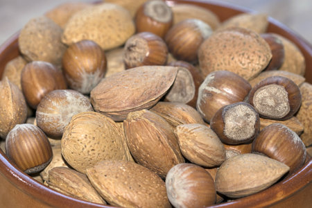 healthy nutrition: dry fruit the food of the health