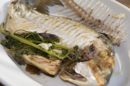 sea recipe: baked  fillet of sea bream with herbs