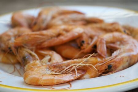 fresh shrimps of the mediterranean sea steamedの写真素材