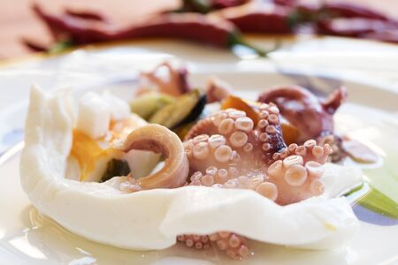 octopus salad with chili pepper and vegetables