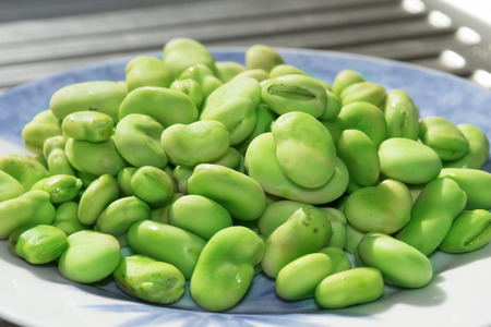 fresh and seasonal broad beans