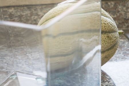 seasonal melon fresh and ripe and freshly harvestedの写真素材