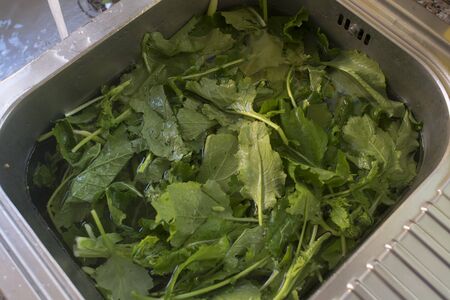 washing fresh vegetable in a home metallic sinkの写真素材