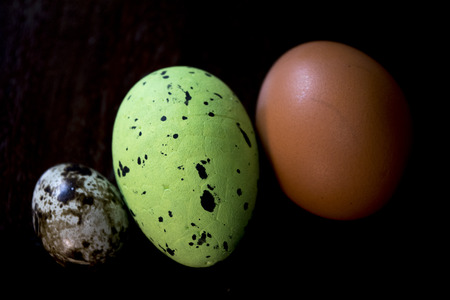 hen and quail eggs with colored easter eggの写真素材