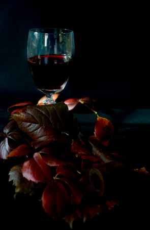 concept of harvest with a balloon glass of red wine and leavesの写真素材