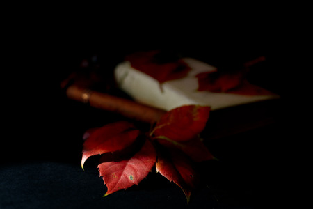 old book near a cigar and some leaves in a play of lights and shadowsの写真素材