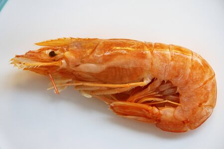 king prawns just defrozen in a dish