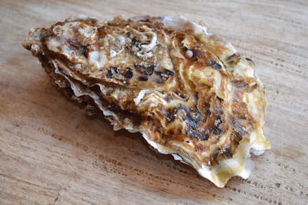 French alive oysters still closed in a wooden box