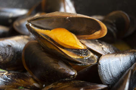 steamed mussels with pepper or impepata di musselsの写真素材