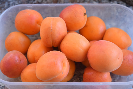 organic ripe apricots in a bowlの写真素材