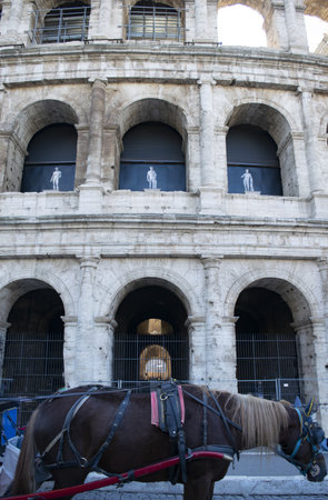 the Colosseum in Rome seen through the typical horse-drawn carriage called botticella