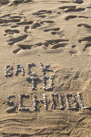 back to school written with stones on the sand of a beachの写真素材