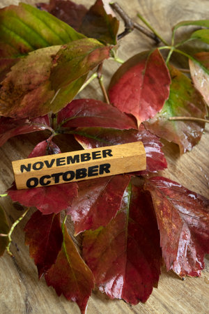 autumn concept with yellowed leaves and the lettering November and Octoberの写真素材