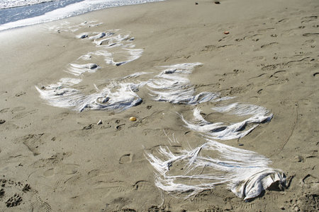 shapes and colors on the beach created from pieces of plasticの写真素材