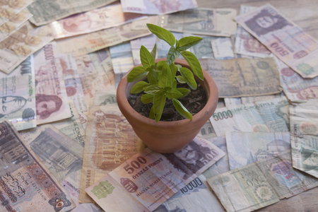 young green plant growing in clay pot placed on several international currency banknotes symbolizing sustainable investment financial growth and eco-friendly economic developmentの写真素材