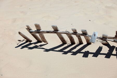 the ocean shoreの写真素材