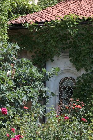 Prague, monastery Park in the old townの写真素材