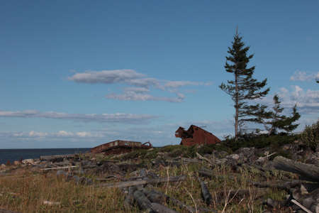 North Russia, White sea coast of the island with the lost shipの写真素材