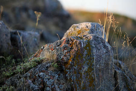 North Russia, White sea, the granite coast,の写真素材