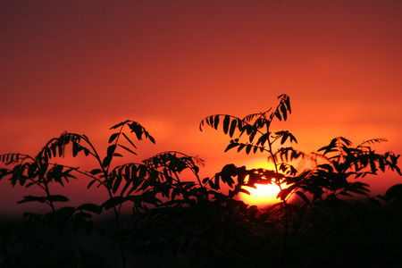 sunset in the desertの写真素材