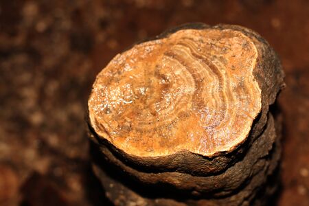 broken stalagmite