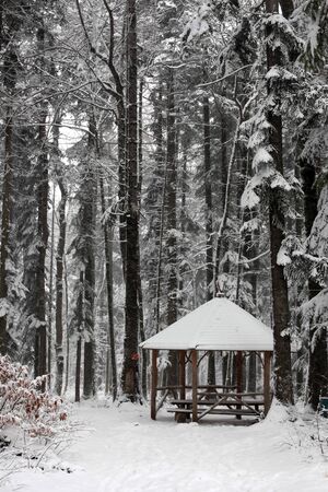 Gazebo in the woodsの写真素材