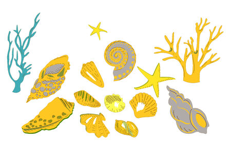 Set of colorful Sea Shells , Stars and Coralのイラスト素材