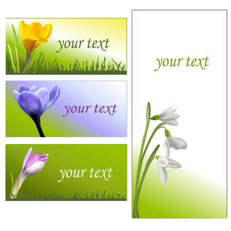 Colorful background with realistic flower and grass. Vector illustration.のイラスト素材