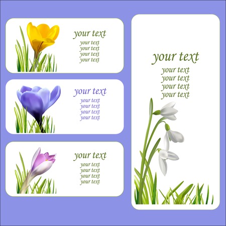 Colorful background with realistic flower and grass. Vector illustration.のイラスト素材