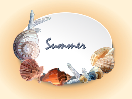 Background with marine motifs and shells. Vector illustrationのイラスト素材