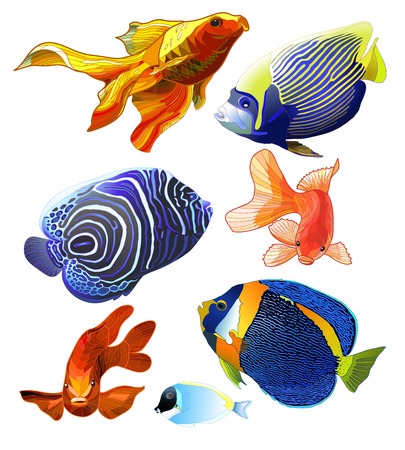 Set of exotic colorful fish. Abstract isolated fish on white background. Vector illustrationのイラスト素材