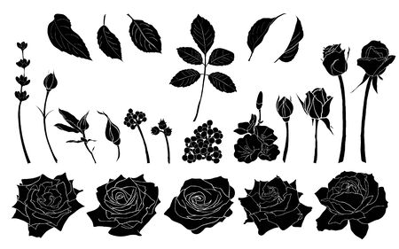 Set of isolated roses, leaves, flowers on white background. Floral motif objects. Idea for event invites, greeting card, cover, postcard, poster, banner. Editable template for design. Tattoo art. Vector illustrationのイラスト素材