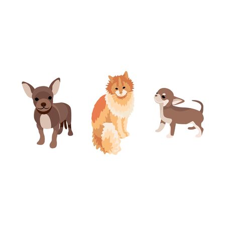 Cats and small dogs set. Funny dogs and cute cat best friends. Happy friendship day. Cartoon style vector illustration.のイラスト素材