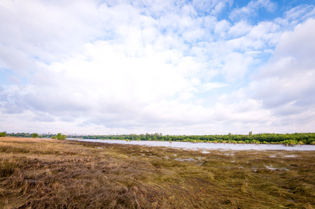 Cheerless swamp and dry grass, water and forestの写真素材