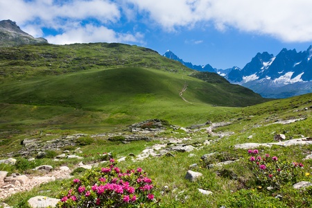 A beautiful view of the french alpsの写真素材