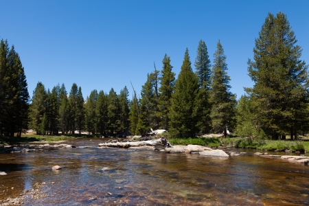 Yosemite national park in California - USAの写真素材