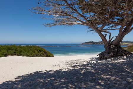 Carmel beach in Carmel, California - USAの写真素材